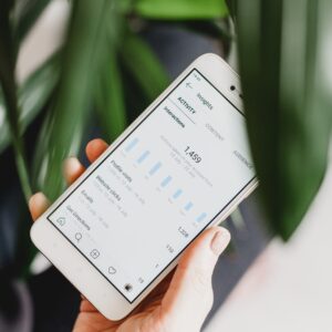 opsi-organik-paid-efektif