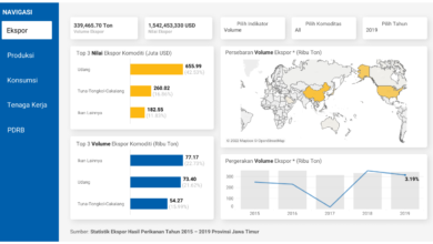 Visualisasi Data DKP Jawa Timur