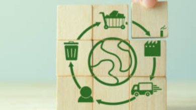 Beradaptasi-untuk-Bertahan-Strategi-Bisnis-Hadapi-Ancaman-Perubahan-Iklim