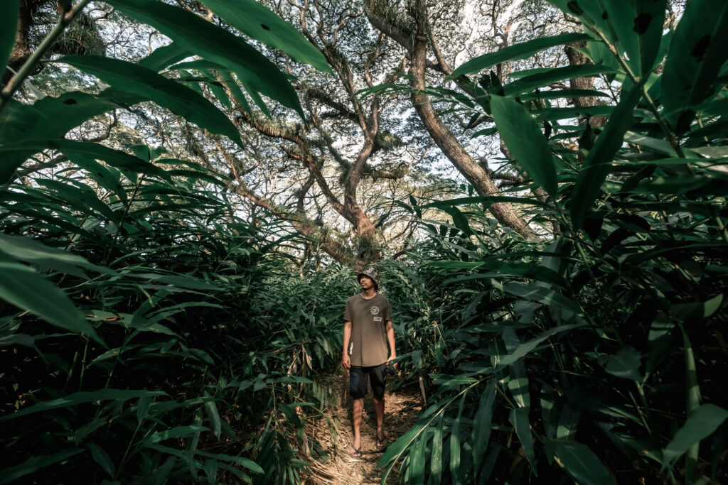 de-djawatan-banyuwangi