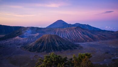 mencicipi-lezatnya-kuliner-khas-bromo